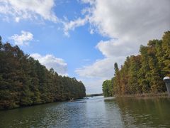 -上海海湾国家森林公园