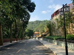 -南宁良凤江国家森林公园