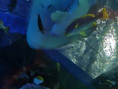 -沈阳海洋探索中心