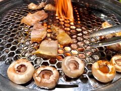 -吉屋烤肉(八宝街店)