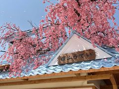-Blue Concept Cafe&Farm·關於藍
