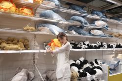 点击看大图 -大麦微针植发丨全国连锁