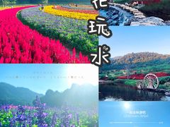 -广州市石门国家森林公园