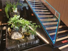 -连鹭海鲜·海肠捞饭·海胆饭(星海店)
