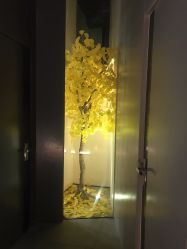 点击看大图 -美壹生诊所皮肤管理中心·海菲秀&Legacy美白舱