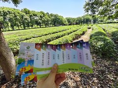 -凤凰沟景区