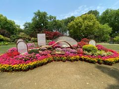 -上海醉白池公园
