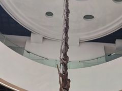 -昆明动物博物馆