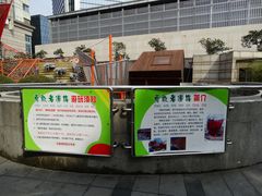 勇敢者道路介绍-中国福利会少年宫