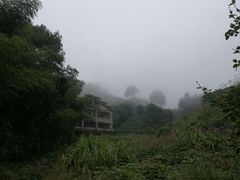 -江西阳明山国家森林公园