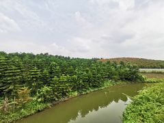 -迪茵湖田家舍生态农场
