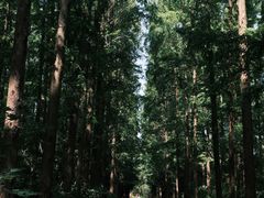 -上海怡沁园度假酒店