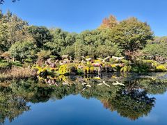 -杭州植物园