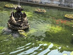 -上海醉白池公园