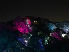-飞凤山奥体公园
