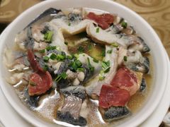 -全乐鱼馆·淳牌有机鱼直营店