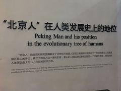 -北京周口店北京人遗址博物馆