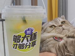 -烧柠·柠檬茶(大融城店)