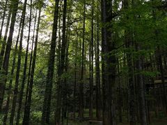 -山王坪喀斯特国家生态公园