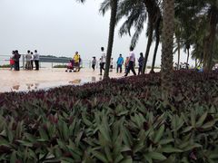 -南沙天后宫景区