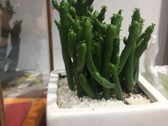 -甜心闲生传统手工冰粉(奎星楼店)