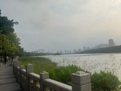 -南宁南湖公园
