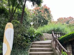 -成都市活水公园