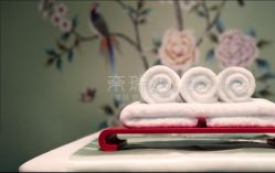 -奈瑞儿美颜美养SPA