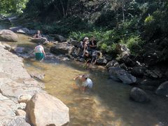 -广州白江湖森林公园