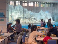 -帝企鹅自助餐厅•儿童岛•真企鹅(长隆企鹅酒店)