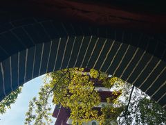 -宝光寺