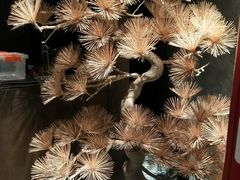 -百富源·海鲜辽菜(浑河堡店)