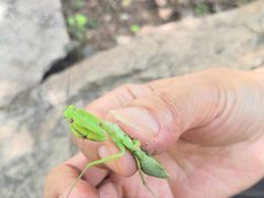 -碓臼峪自然风景区