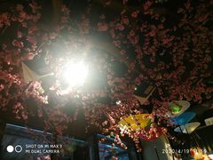 -风波庄(罍街分舵)