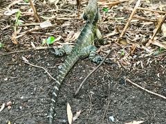 -可伦宾野生动物保护区
