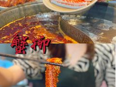 -大虎重庆老火锅(正弘城店)