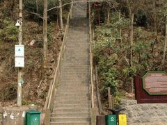 -云碧峰国家森林公园