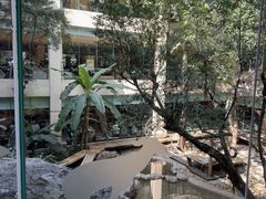 -麒麟中餐厅·经典粤菜·地道菜式老字号(广州长隆酒店)