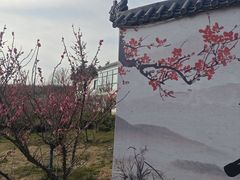 -南京市溧水区傅家边梅花山弄山庄