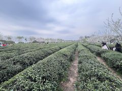 -凤凰沟景区