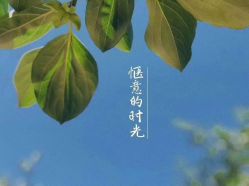 -哈妮儿童摄影(德清店)