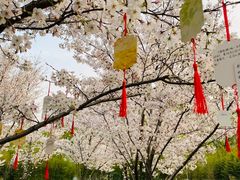 -河海大学(常州校区)