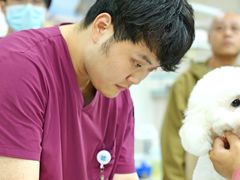 -美联众合动物医院·24h转诊中心
