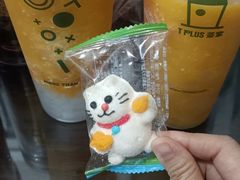 -TPLUS茶家(浦电路店)