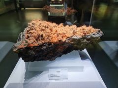 -湖南省地质博物馆