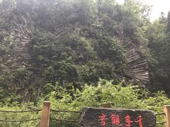 -望天鹅景区