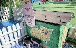 -萌宠亲子动物乐园(槐房万达店)