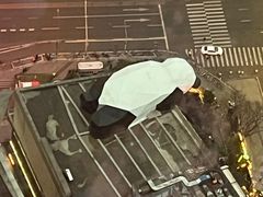 -339旋转餐厅(天府熊猫塔店)