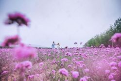 -金海岸婚纱摄影(塘沽店)