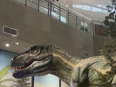 -湖南省地质博物馆